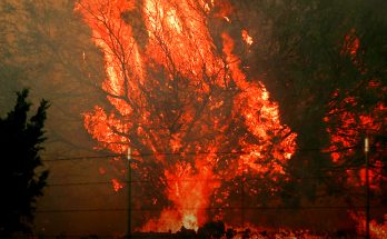 Red Flag Warning for One US State: Official Information