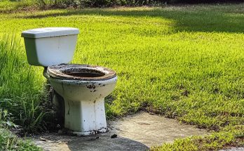 My Neighbor Installed a Toilet on My Lawn with a Note, 'Flush Your Opinion Here,' After I Asked Her Not to Sunbathe in Front of My Son's Window