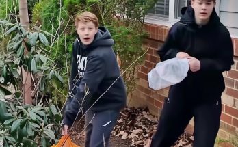 Neighbor's Kids Were Cleaning Our Street Every Sunday – When I Found Out What They Were Truly Doing, I Was at Loss for Words