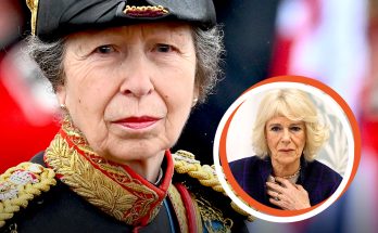 Three Words Princess Anne Said About Camilla Becoming Queen — How Has Their Relationship Evolved?