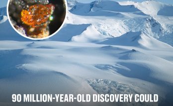 90 million-year-old discovery could change everything we thought we knew about Antarctica