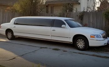 Man Gives Salary to Woman with Child Asking for Money for a Ticket — Next Day, a Large White Limousine Pulls up to His House