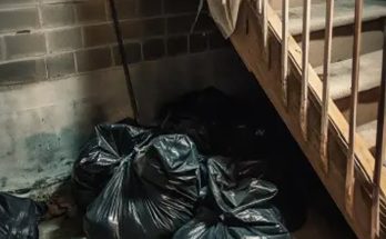 I Found 3 Trash Bags in My Brother and SIL's Basement – What Was Inside Shocked Me