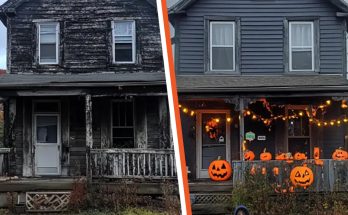 Boy Decorates the House of a Lonely Old Lady for Halloween to Convince Her That the Holiday Is Worth Celebrating – Story of the Day