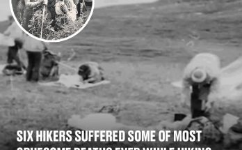 Six hikers suffered some of most gruesome deaths ever while hiking in mystery still unsolved to this day