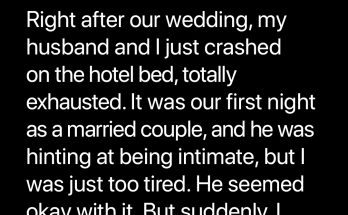 My Husband Turned Our Wedding Night into a Catastrophe – Story of the Day