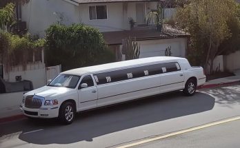 Man Gives Salary to Woman with Child Asking for Money for a Ticket — Next Day, a Large White Limousine Pulls up to His House