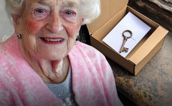 Old Lonely Lady Receives Deliveries from Unknown Person Every Day, the Last Was a New Home – Story of the Day