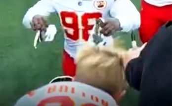 Chiefs' Tershawn Wharton Saves Young Fan During Panthers Game – Video