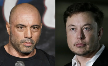 Joe Rogan asks to take Rachel Maddow's job if Elon Musk buys MSNBC