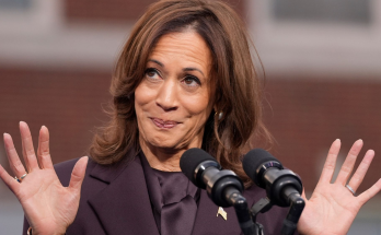 (VIDEO) US election 2024: The Democratic Party blame game has already begun after Kamala Harris's loss