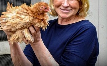 Martha Stewart, Slammed for Wearing Swimsuit in her 80s, Is a Doting Granny & Lives Regular Life on Farm - Pics