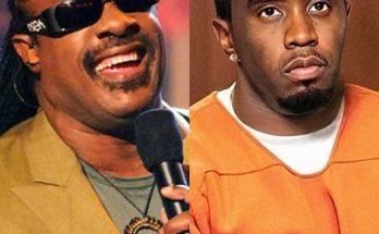 American Singer, Stevie Wonder defends Diddy. 'I didn't see anything illegal'