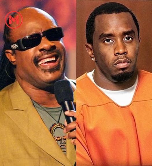 American Singer, Stevie Wonder defends Diddy. 'I didn't see anything illegal'