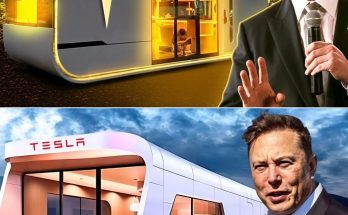 Elon Musk Tesla’s new $10000 home for sustainable living