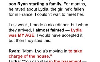 My Son Brought a Woman My Age, Saying She's Now the Lady of the House – They Didn't Like the Lesson I Prepared for Them