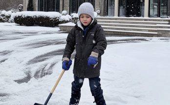 Neighbor Asked My Son to Shovel Snow for $10 a Day but Refused to Pay — So I Taught Him a Lesson He'll Never Forget