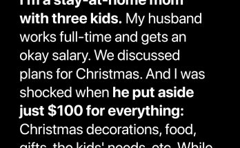 My Husband Gave Me Just $100 for Christmas Food, Gifts, and Decorations – So I Taught Him a Lesson