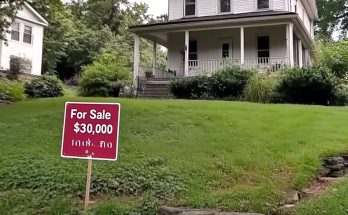 The House Was So Cheap I Thought I Won the Lottery, but When I Saw the Basement, I Understood Everything — Story of the Day