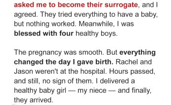 I Became a Surrogate for My Sister & Her Husband — When They Saw the Baby, They Yelled, 'This Isn't the Baby We Expected'