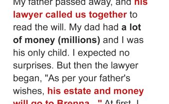 I Planned to Reclaim My Father's Inheritance That Was Left to a Stranger Until a Family Secret Changed Everything — Story of the Day