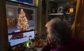 Elderly Woman Celebrates Christmas Alone after Her Children Find Out She Is a Cleaner – Story of the Day