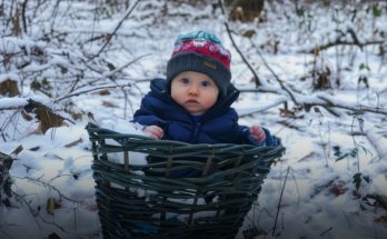 Couple Arguing on a Winter Night in the Woods Hear Baby Crying from under Spruce Tree — Story of the Day