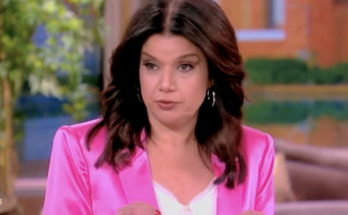 'The View' co-host blames ChatGPT after making pants on fire claim about Biden pardon