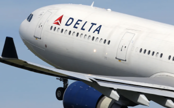 Alleged Delta stowaway disrupts return flight to New York, video shows