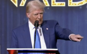 President-elect Donald Trump receives the 'Patriot of the Year' award at Fox Nation's Patriot Awards