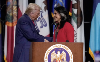 'Warrior whose vote cannot be bought': Hundreds of vets pour out in support of Tulsi Gabbard for DNI