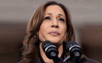 DNC fundraiser roasts party's 'delusions' about a Kamala Harris political comeback: 'Not what America wants'