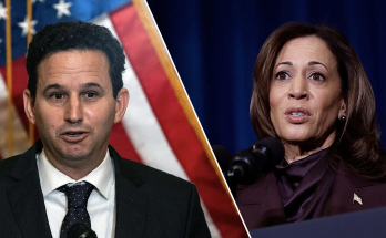 Democratic lawmaker hits Kamala Harris, Dems for using 'weird,' unfamiliar language after election loss