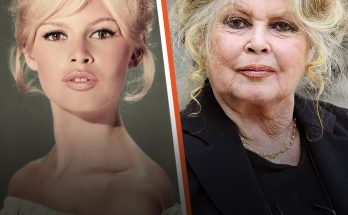 7 Beauties of the Past: How Famous Actresses Have Changed over Decades