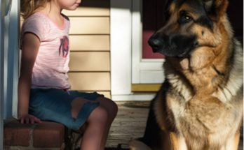 My Fiancé's Daughter Claims My Dog 'Terrified' Her – Should I Rehome My Fur Baby?