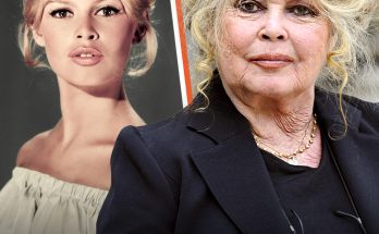 7 Beauties of the Past: How Famous Actresses Have Changed over Decades