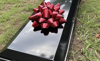 A Coffin with a Gift Bow Was Brought to Our Wedding During the Ceremony — I Nearly Fainted When It Opened