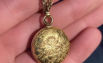 Old Lady Sees Late Mother’s Pendant at Flea Market, ‘I’ll Pay Double Its Price’ She Suddenly Hears – Story of the Day