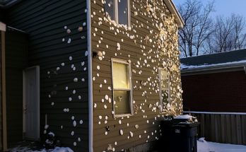 Our House Was Egged on Christmas — I Was Flabbergasted When I Found Out Who Did It