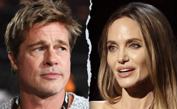 Brad Pitt, Angelina Jolie reach divorce settlement after bitter 8-year legal battle