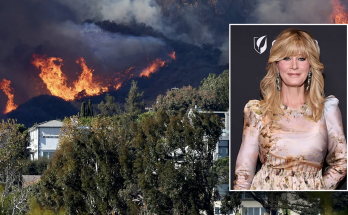 Palisades Fire: Billy Crystal's home of 46 years destroyed as celebs flee ritzy neighborhood