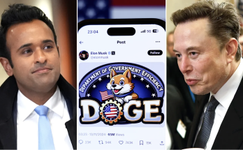 Musk, Ramaswamy unveil the DOGE full-time, salaried roles they're trying to fill