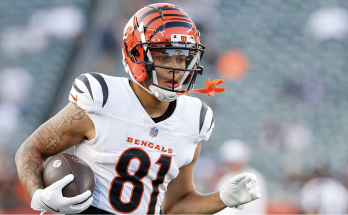 Bengals receiver's mysterious absence from season finale came days after alleged assault: report