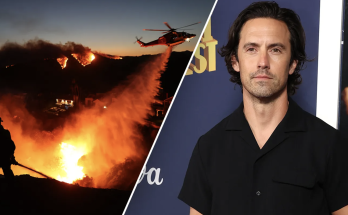 California wildfires: 'This Is Us' star Milo Ventimiglia loses home days before wife is set to give birth