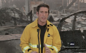 ABC’s David Muir returns to air with looser jacket after being mocked for 'vanity' with tailored look