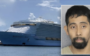 Cruise ship passengers from across US sue after worker sentenced for placing hidden cameras in guest rooms