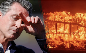 Gov. Newsom cut fire budget by $100M months before lethal California fires