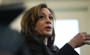 LAPD responds to Kamala Harris' California home in Palisades Fire evacuation zone, 2 men detained: reports