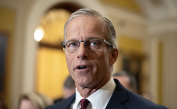 Meet Leader John Thune's all-star cabinet as Republicans take over Senate majority