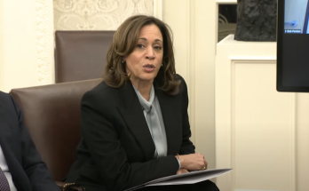 Harris mocked for 'confusing word salad' telling LA wildfire victims it's 'critically important' to be patient